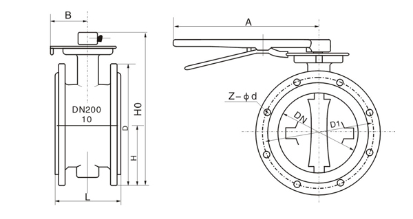 D41X.jpg