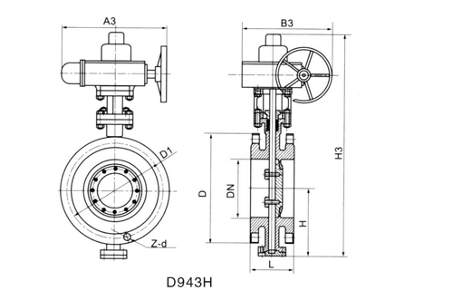 D943H.jpg